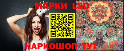 стаф Шахты