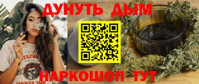 стаф Шахты