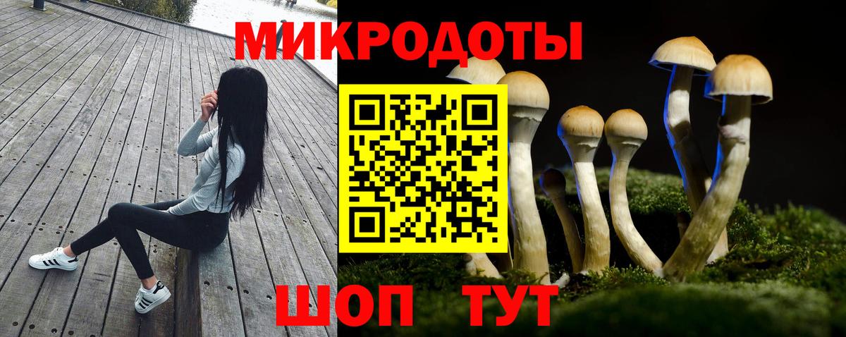 Гулькевичи  Псилоцибиновые грибы мухоморы  Вход с VPN  Псилоцибиновые грибы мицелий 